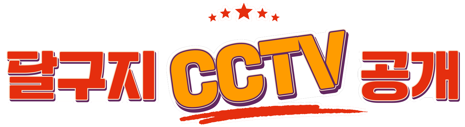cctv_stamp